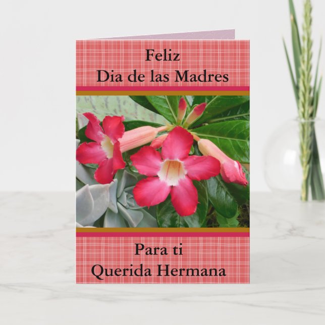 Feliz Dia de las Madres Querida Hermana 321 Kort (Framsida)
