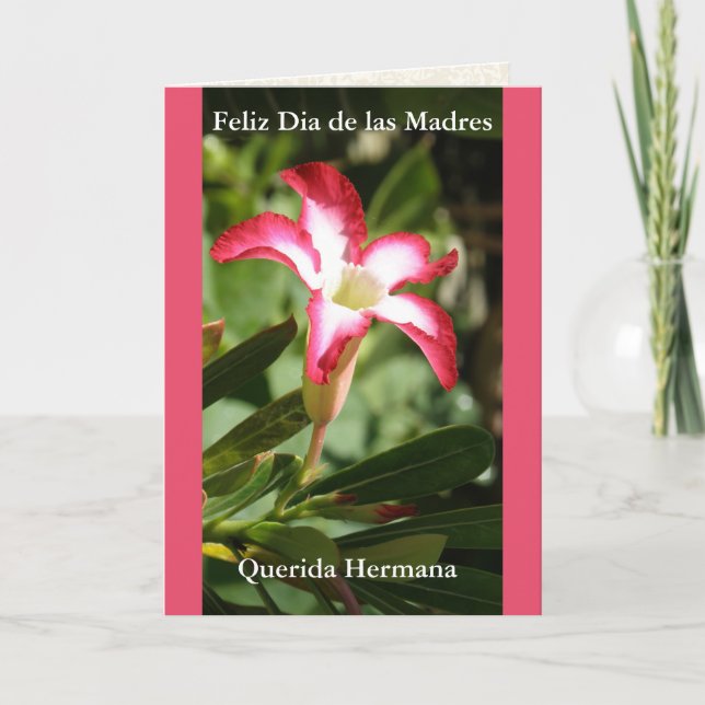 Feliz Dia de las Madres Querida Hermana Kort (Framsida)