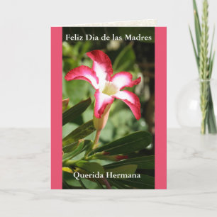 Feliz Dia de las Madres Querida Hermana Kort