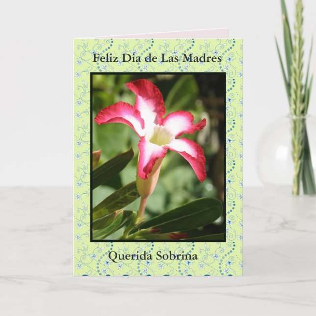 Feliz Diameter de las Madres Sobrina Kort (Framsida)