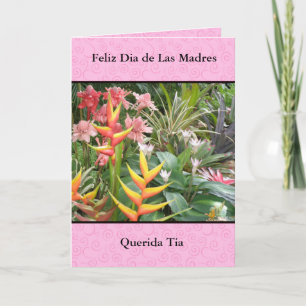 Feliz diameter-delas Madres Tia Kort