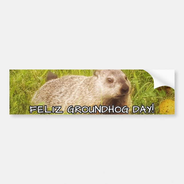 Feliz Groundhog Day! Bildekal (Framsidan)