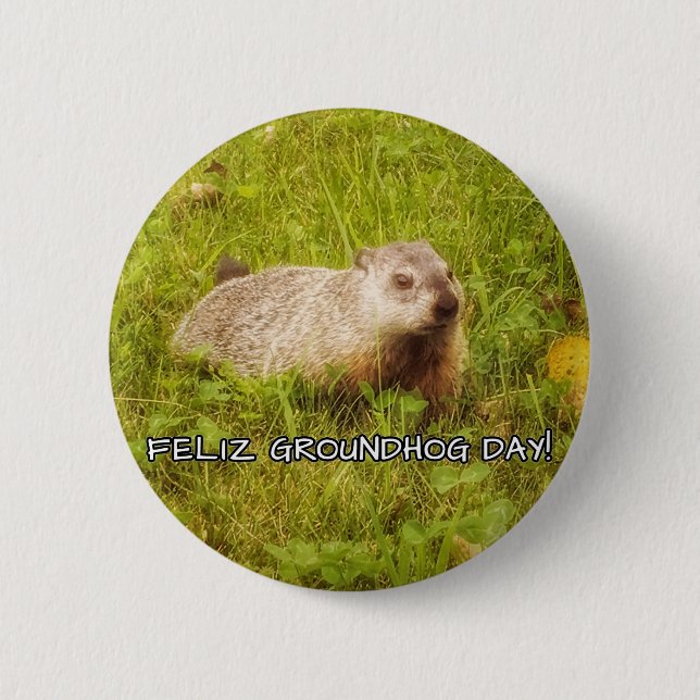 Feliz Groundhog Day! Knapp (Framsida)