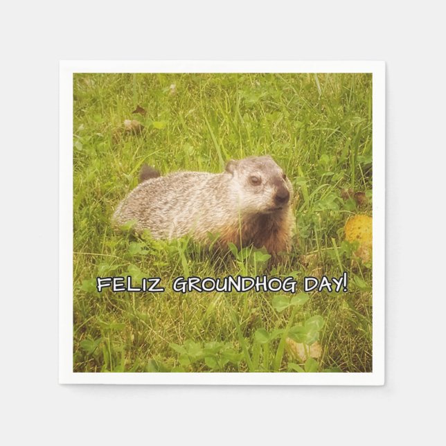 Feliz Groundhog Day! Pappersservett (Framsidan)