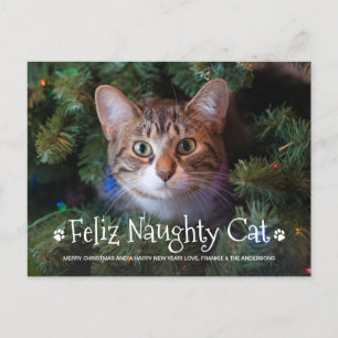 Feliz Naughty Cat Funny Personlig Pet Photo Hol Vykort