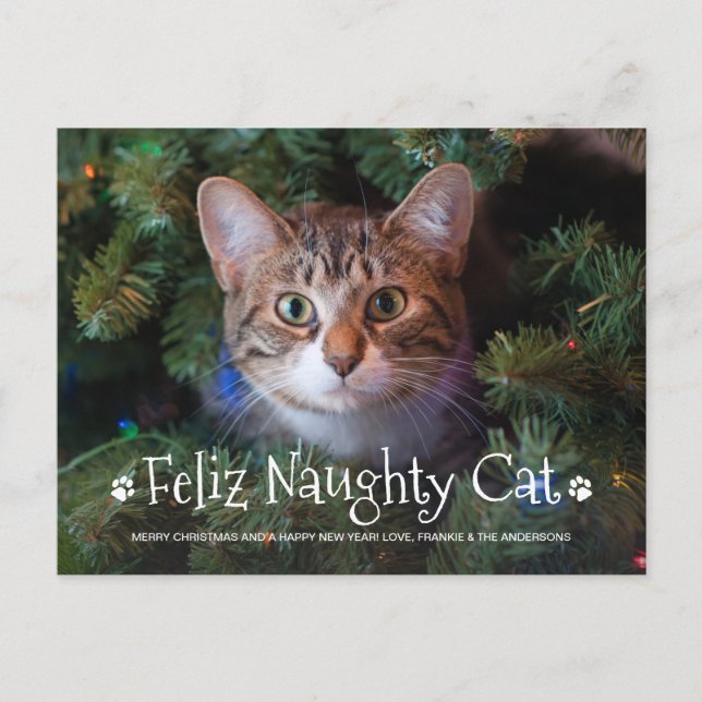 Feliz Naughty Cat Funny Personlig Pet Photo Hol Vykort (Framsida)