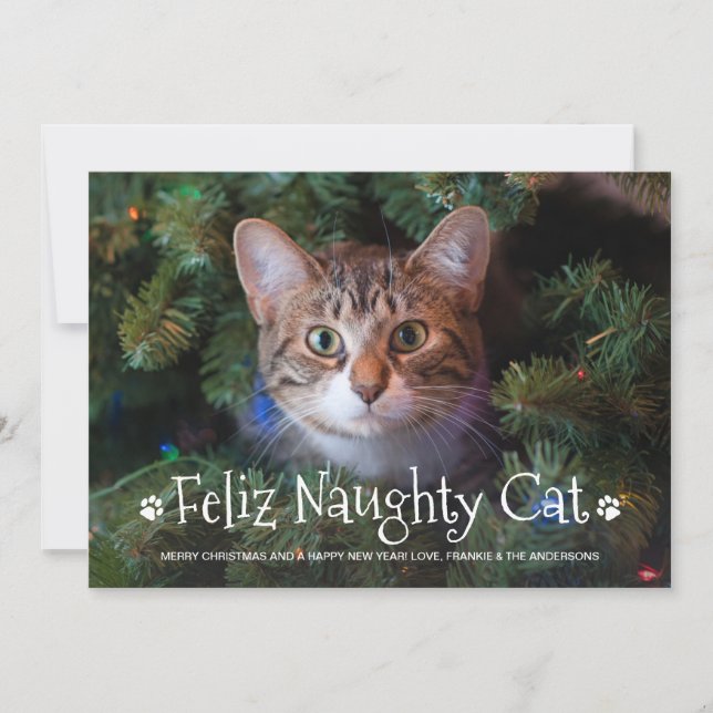 Feliz Naughty Cat Funny Personlig Pet Photo Julkort (Framsida)