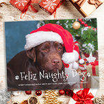 Feliz Naughty Hund Funny Personlig Pet Photo Helg Vykort<br><div class="desc">Feliz Naughty Hund! Skicka söta och roligt semesterhälsningar med det här toppen anpassningsbarna för söta helgdag. God jul önskemål från hund med söt tass avtryck i en roligt modern fotodesign. Lägg till foto eller familjefoto för din hund med hund och anpassa dig med familj namn, meddelande och år. Det här...</div>