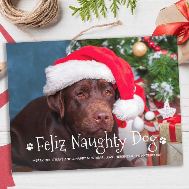 Feliz Naughty Hund Funny Personlig Pet Photo Hol Vykort (Skapare uppladdad)