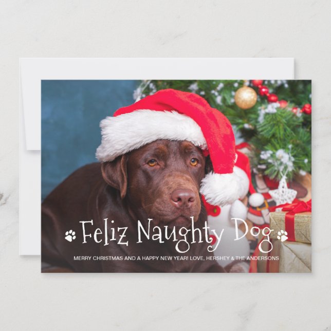 Feliz Naughty Hund Funny Personlig Pet Photo Julkort (Framsida)