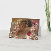 Feliz Naughty Hund julkort