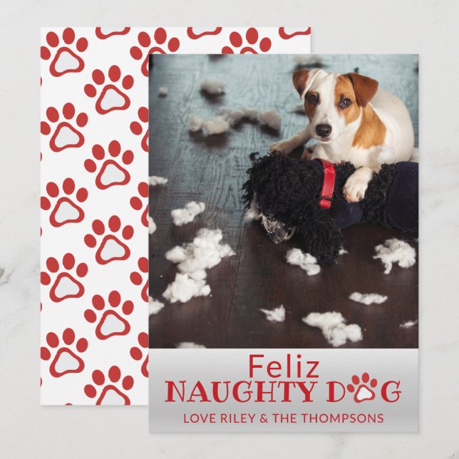 Feliz Naughty Hund Red Tassar Pet Photo Helgdag Ca Julkort (Fram/baksida)