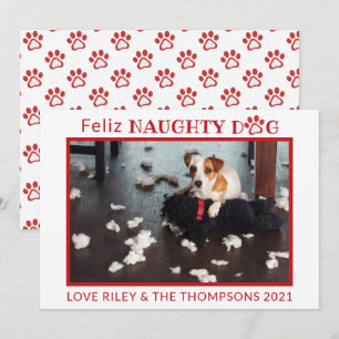 Feliz Naughty Hund Red Tassar Vågrät Pet Photo Ho Julkort