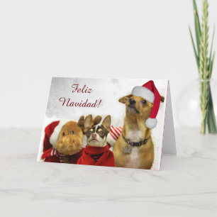 Feliz Navidad Chihuahuas gratulationskort Helgkort