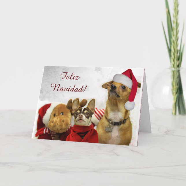 Feliz Navidad Chihuahuas gratulationskort Helgkort (Framsida)