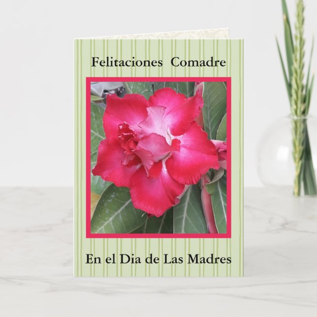 Feliz Navidad Comadre 721 Kort (Framsida)