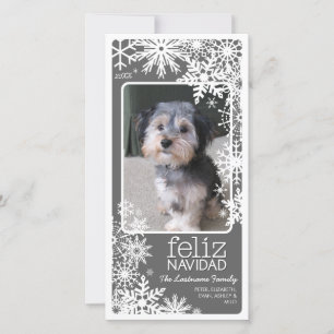 Feliz Navidad fotokort: Låt det snöa! Julkort