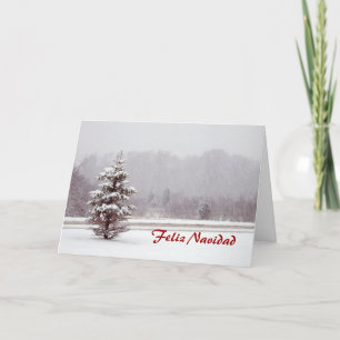 Feliz Navidad God jul på spanska och snö Helgkort