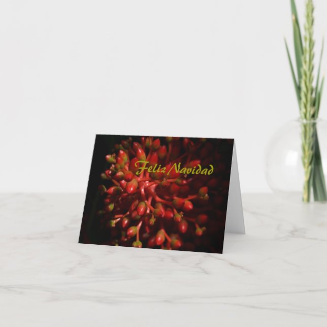 Feliz Navidad Helgkort (Framsida)