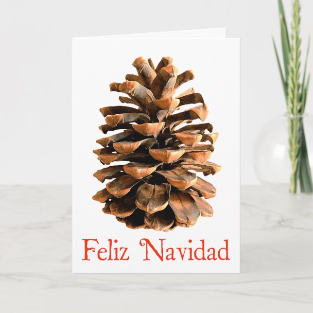 Feliz Navidad - Jerusalem Gräs Cone Helgkort (Framsida)