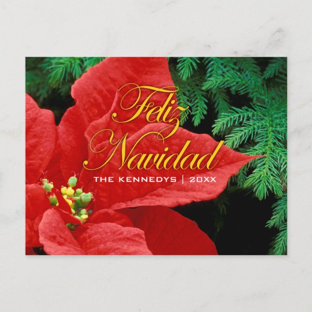Feliz Navidad - Red Poinsettia och Fir Bow Helg Vykort (Framsida)