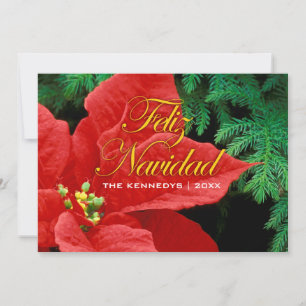 Feliz Navidad - Red Poinsettia och Fir Bow Julkort