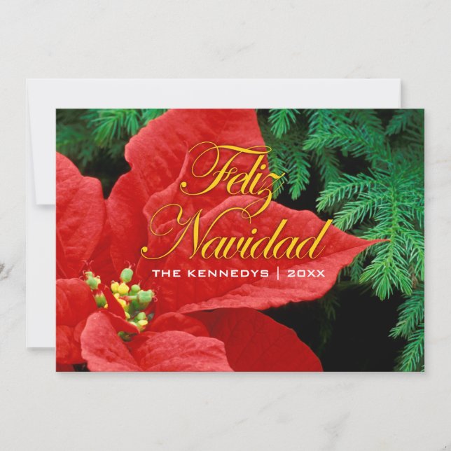 Feliz Navidad - Red Poinsettia och Fir Bow Julkort (Framsida)