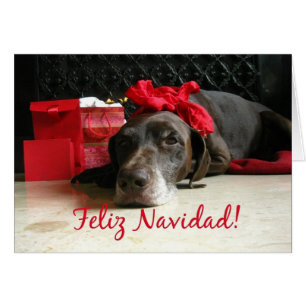 Feliz Navidad spanjorjulkort Hälsningskort