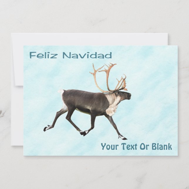 Feliz Navidad - Västindiou (renare) på Snö (Framsida)