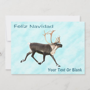 Feliz Navidad - Västindiou (renare) på Snö
