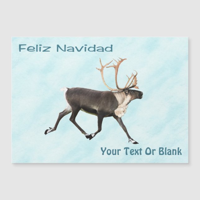 Feliz Navidad - Västindiou (renare) på Snö (Framsida)