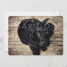 Feliz Navidog | helgdagfoto