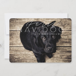 Feliz Navidog | helgdagfoto Julkort