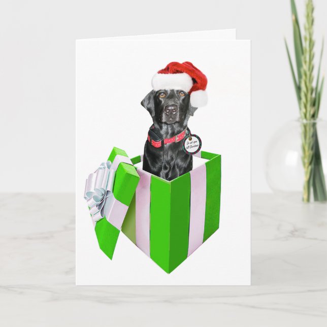 Feliz Navidog Helgkort (Framsida)