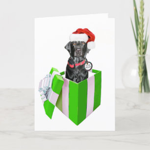 Feliz Navidog Helgkort