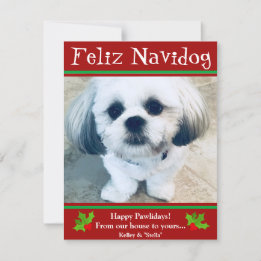 Feliz Navidog Hund julklapp - fåtkort Julkort