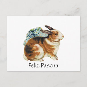 Feliz Pascua, glad påsk i spanjor Helg Vykort