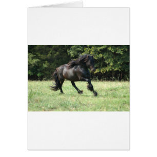 Fell Pony Stallion Hälsningskort