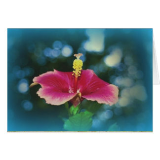 "Fellowship on the Väg" OBS Kort