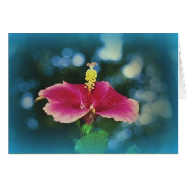 "Fellowship on the Väg" OBS Kort (Framsidan Horizontal)