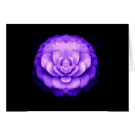 "Fellowship on the Väg" OBS Kort