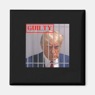 Felon Donald Trump Guilty Lock Him Up Trump-fängel Magnet