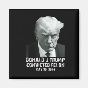 Felon Donald Trump Guilty Lock Him Up Trump-fängel Magnet