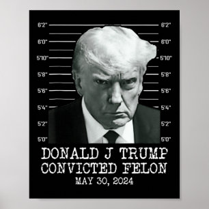 Felon Donald Trump Guilty Lock Him Up Trump-fängel Poster