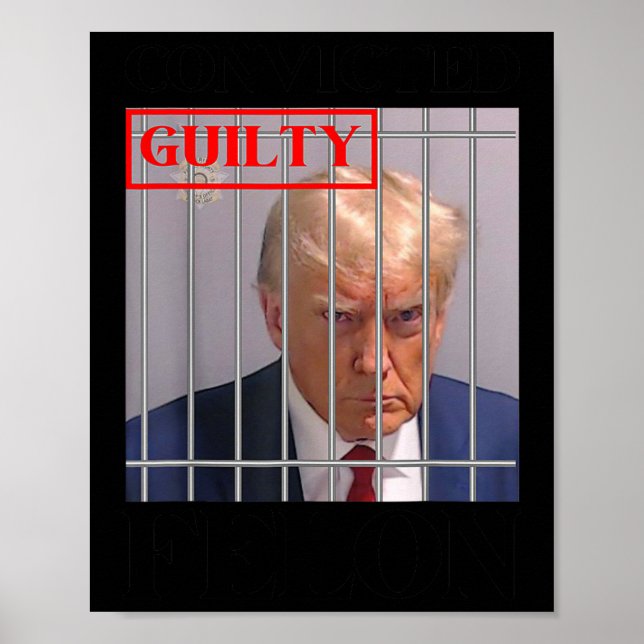 Felon Donald Trump Guilty Lock Him Up Trump-fängel Poster (Framsidan)