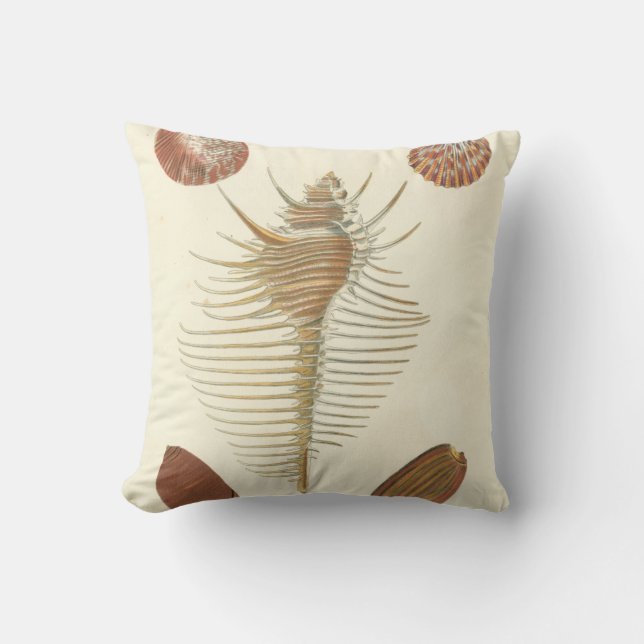 Fem av en typ Seashells Kudde (Framsida)