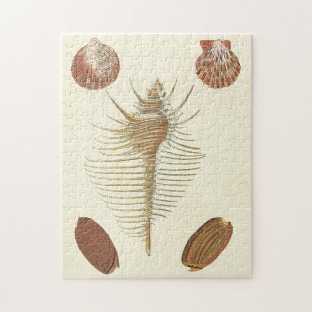 Fem av en typ Seashells Pussel (Vertikal)