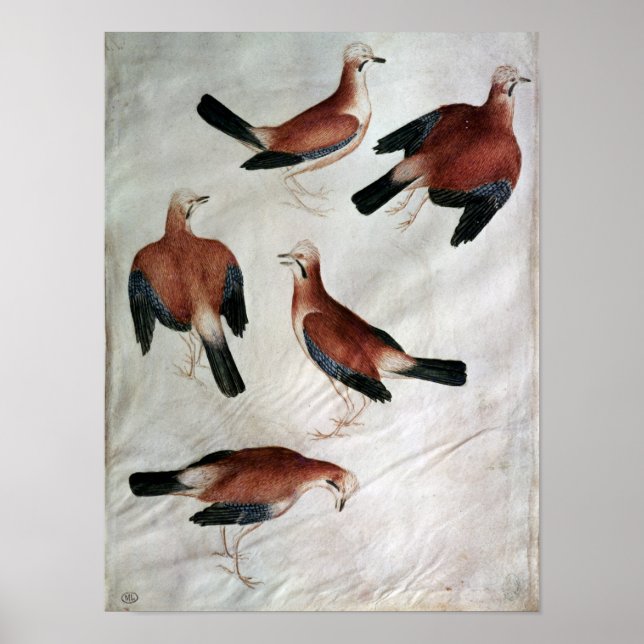 Fem dagar, från Vallardi Album Poster (Framsidan)