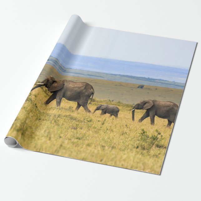 FEM ELEFANTER PÅ BRÖSTGRAS PRESENTPAPPER (Utrullad)