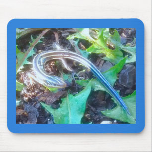 Fem-Fodrade Skink på maskrosen lämnar vågrät Musmatta